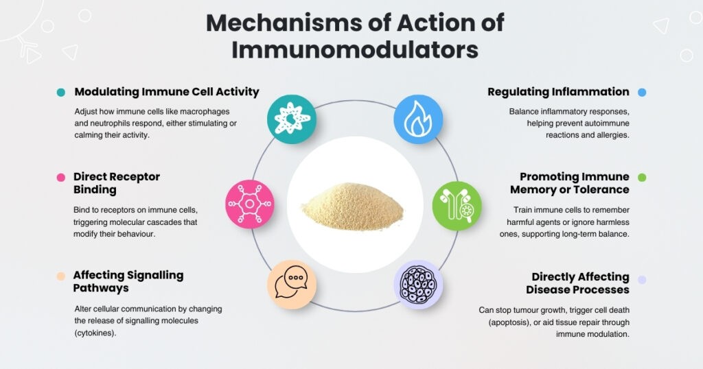 Infographic showing the main mechanisms of action of immunomodulators, including cell activity modulation, signalling pathways, receptor binding, inflammation control, immune memory, and disease regulation.)