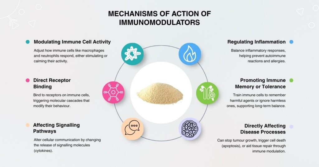 Infographic showing the main mechanisms of action of immunomodulators, including cell activity modulation, signalling pathways, receptor binding, inflammation control, immune memory, and disease regulation.)