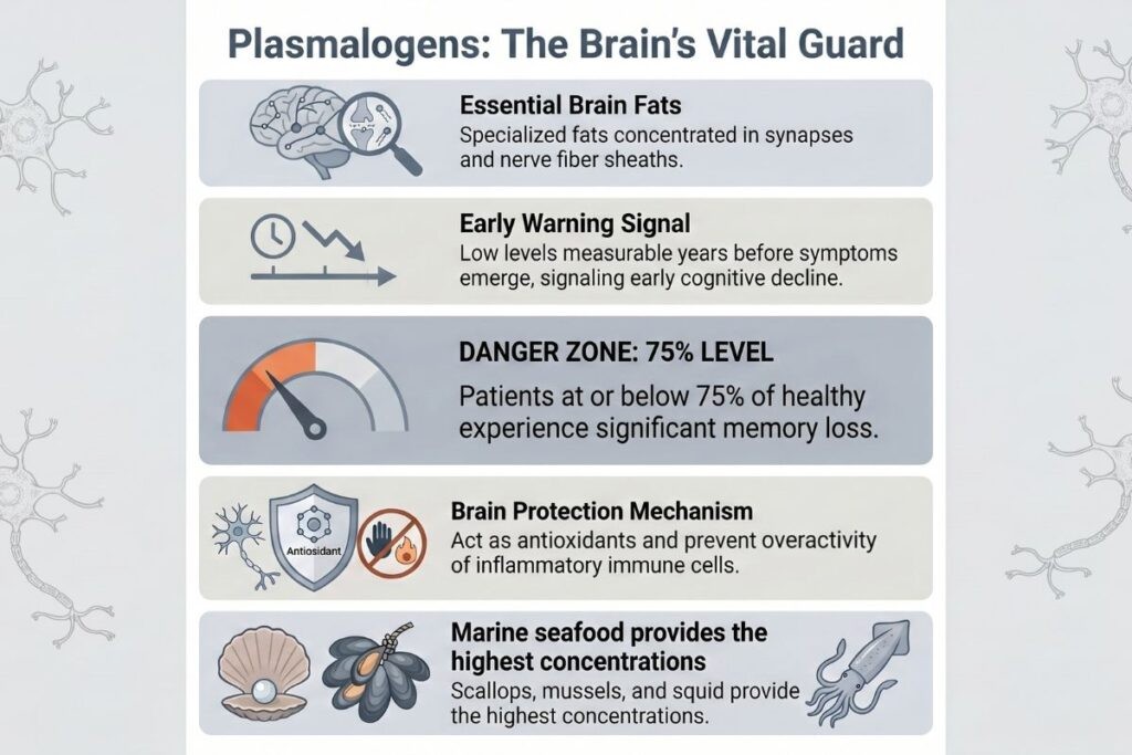 Infographic summarising plasmalogen benefits and their link to dementia and cognitive decline.