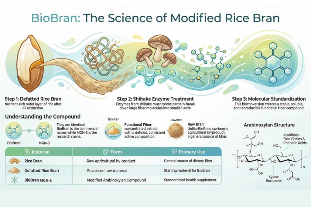 Infographic showing what BioBran is, how it is made from rice bran, and how it differs from raw bran.