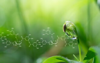 Plant bud with a molecular structure overlay illustrating natural immunomodulators.