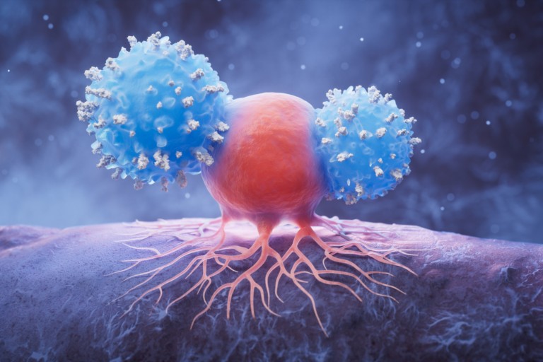 Immunotherapy is a medical treatment that uses the immune system to recognise and attack cancer cells.