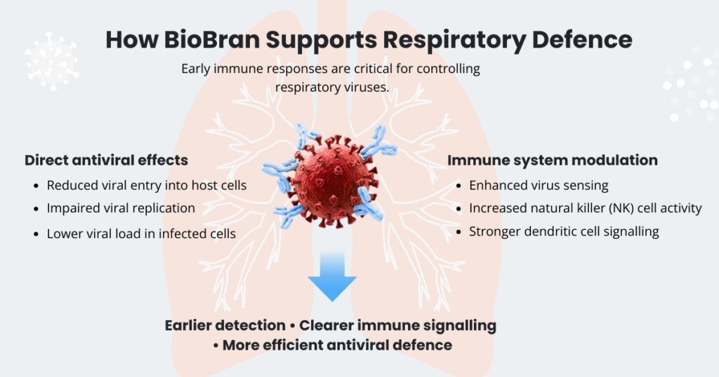 Respiratory infection prevention infographic showing how BioBran supports antiviral defence through direct antiviral effects and immune system modulation, including reduced viral entry and enhanced immune signalling.